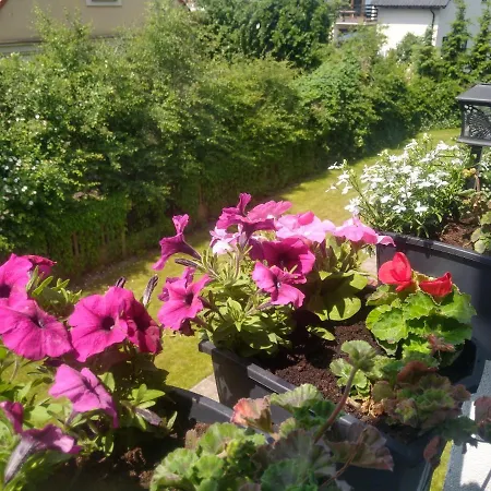 Διαμέρισμα Olivia Centrum Z Zamknietym Parkingiem *