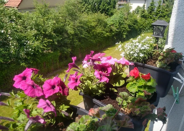 Lägenhet Olivia Centrum Z Zamknietym Parkingiem *